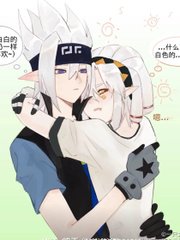 深入了解 Pr九天狐